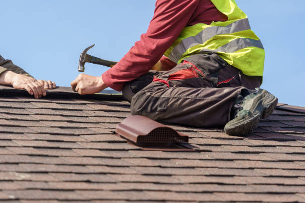 Best Flat Roof Repair Services  in USA